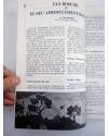 Muestra 1 de REVISTA PERSPECTIVA ESCOLAR 77. NECESSITEM ELS BOSCOS I EL MAR (Vvaa) Rosa Sensat 1983