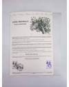Cubierta de COLLECTION HISTORIQUE DE TIMBRE 32-85. CHENE PEDONCULE. QUERCUS PEDUNCULATA (No Acreditado) Poste Français 1