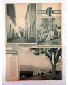 Muestra 1 de REVISTA ALGO. ILUSTRACIÓN POPULAR. LOTE DE 121 NºS ENTRE EL 205 Y EL 338 (Vvaa) Algo 1936