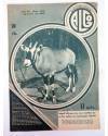 Muestra 3 de REVISTA ALGO. ILUSTRACIÓN POPULAR. LOTE DE 121 NºS ENTRE EL 205 Y EL 338 (Vvaa) Algo 1936