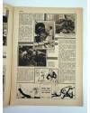 Muestra 3 de REVISTA ALGO. ILUSTRACIÓN POPULAR 196. CUBIERTA E. FREIXAS. 13 MAYO (Vvaa) Algo 1933