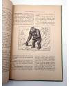 Muestra 2 de COLECCIÓN NARRACIONES Y AVENTURAS. VIDA Y COSTUMBRES DE ALGUNOS ANIMALES (Joaquín Pla) Dalmau Carles Pla Ci