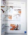 Muestra 3 de CUADERNOS DE BONSAI. ALAMBRADO (Jose María Miquel) Croma Press 1983