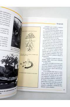 Muestra 4 de GUIAS BONSAI y GUÍAS PRÁCTICAS POR ESPECIES. ROBLE (Jaime Canals) Croma Press 1983