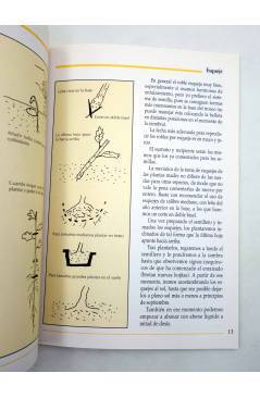 Muestra 2 de GUIAS BONSAI y GUÍAS PRÁCTICAS POR ESPECIES. EL ROBLE (Carolina Piris) Croma Press 1983