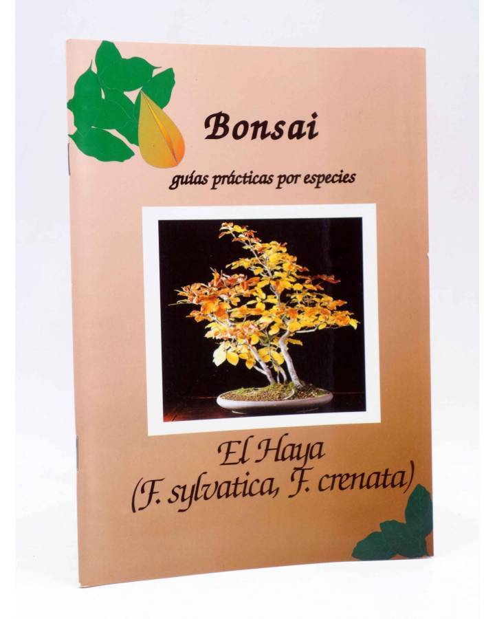 Cubierta de GUIAS BONSAI y GUÍAS PRÁCTICAS POR ESPECIES. EL HAYA (Luis Vallejo) Croma Press 1983