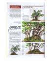 Muestra 1 de BONSAI ACTUAL. LOTE DE 95 REVISTAS DEL 9 AL 103 (Vvaa) Tyris 1988