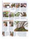 Muestra 2 de BONSAI ACTUAL. LOTE DE 95 REVISTAS DEL 9 AL 103 (Vvaa) Tyris 1988