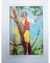 Muestra 5 de COLECCIONES EL NIÑO EL PEDAZO DE PLOMO COLECCIÓN DE 12 CROMOS. COMPLETA. J. Barguñó Circa 1950