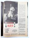 Muestra 4 de REVISTA EL INDISCRETO SEMANAL AÑO II Nº 15. 15 FEB 1975. ¡QUE VIENEN LOS NAZIS! (Vvaa) Pessoa 1975