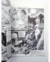 Muestra 2 de LAS AVENTURAS DEL CRUZADO MÁGICO VOL. 1. EL BOSQUE DEL VISIO (Pirrón) Amaika 1985