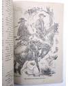 Muestra 3 de MAC LARRY 7. El valle de la canción del burro (H.C. Granch) Cliper 1946