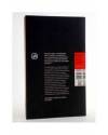 Contracubierta de SERÁS VAPOR ANTES QUE LLUVIA (Luis Rodríguez Rivera) 451 Editores 2007