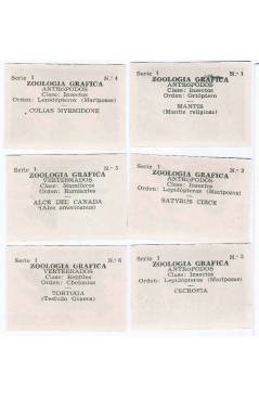 Contracubierta de CROMOS ZOOLOGÍA GRÁFICA SERIE 1. NºS 1 A 6. Meivel Circa 1940. Serie Completa