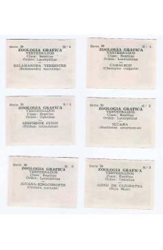 Contracubierta de CROMOS ZOOLOGÍA GRÁFICA SERIE 20. NºS 1 A 6. Meivel Circa 1940. Serie Completa
