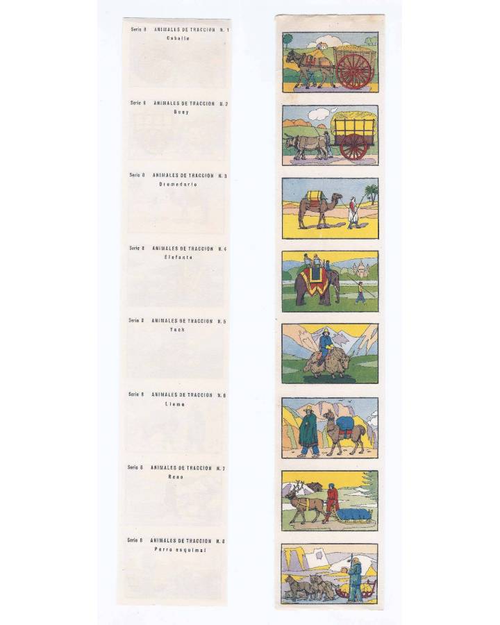 Cubierta de Serie 8 ANIMALES DE TRACCIÓN. COMPLETA. 8 CROMOS EN UNA TIRA Circa 1960