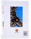 Contracubierta de SHAMO GALLO DE PELEA 8 (Akio Tanaka / Izo Hashimoto) Otakuland 2004