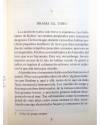 Muestra 4 de COLECCIÓN INQUIETUDES. CUANDO BRAMA EL TORO (Tonny Voss) Juventud 1994