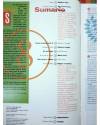 Muestra 1 de VIÑETAS 8 (Vvaa) Glenat 1994