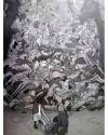 Muestra 5 de THE LIBRARIAN OF AUSCHWITZ HC (Iturbe / Rubio / Efa) Henry Holt 2023. EN INGLÉS