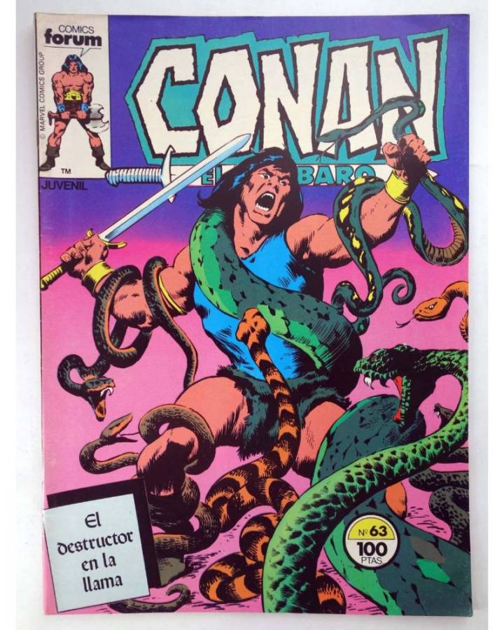 Cubierta de CONAN EL BARBARO 63. EL DESTRUCTOR DE LA LLAMA. Forum 1985