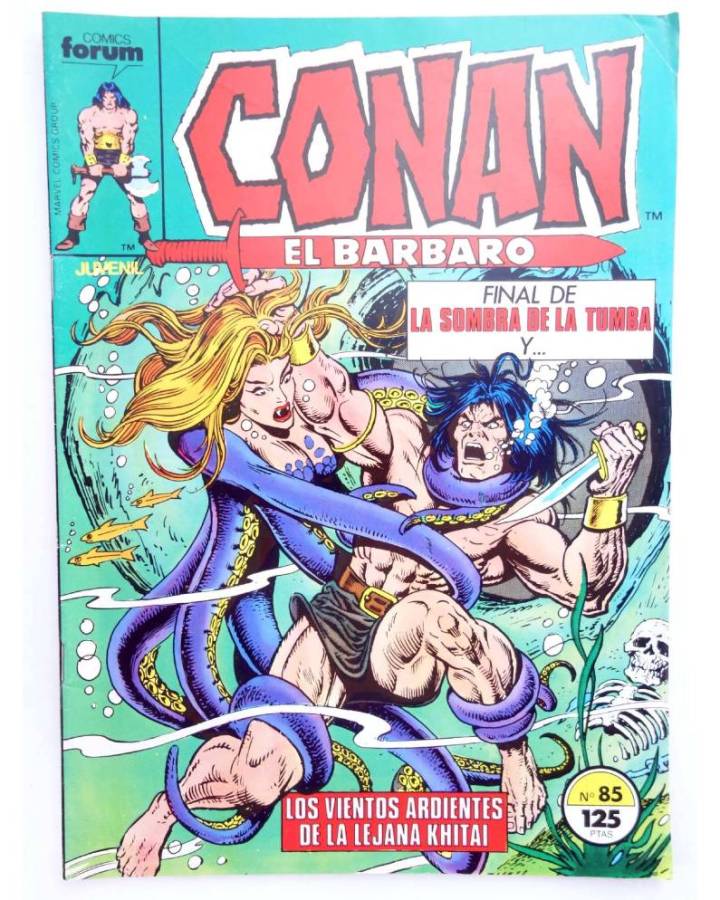 Cubierta de CONAN EL BARBARO 85. LA SOMBRA DE LA TIERRA - LOS VIENTOS ARDIENTES DE LA LEJANA KHITAI. Forum 1986