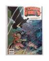 Contracubierta de CONAN EL BARBARO 89. EL GUERRERO Y LA MUJER LOBO - EL DRAGON MARINO. Forum 1986