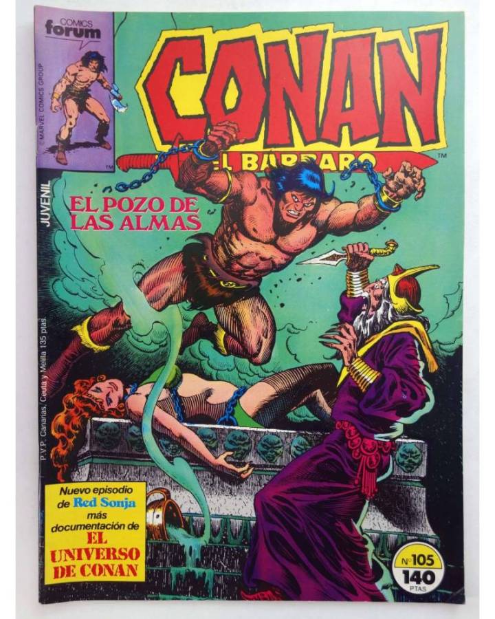 Cubierta de CONAN EL BARBARO 105. EL POZO DE LAS ALMAS - EL UNIVERSO DE CONAN. Forum 1987