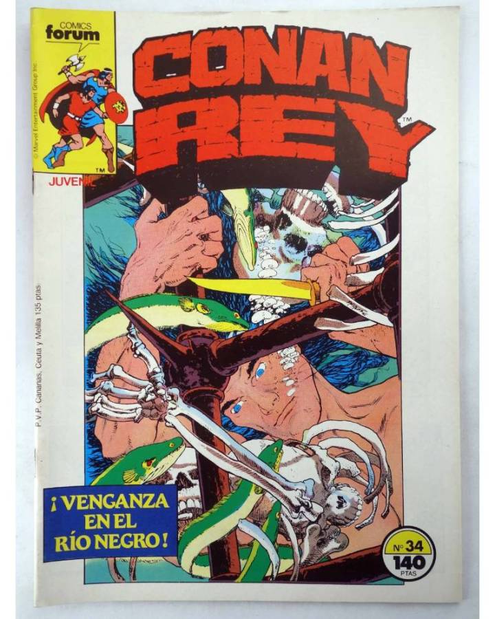 Cubierta de CONAN REY 34. VENGANZA EN EL RIO NEGRO. Forum 1987