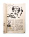 Muestra 2 de NOVELAS DEL NORTE 7. UN PERRO DE TERRANOVA (Rob H. Curtis) Cliper 1945