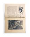 Muestra 1 de LA NOVELA CON PREMIO REVISTA DEL HOGAR AÑO XIII 46. LIRIOS ABANDONADOS 64 (Rosa González) Guerri 1935