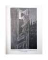 Muestra 3 de CRIMEN Y MISTERIO 11. LOS CRÍMENES DE LA CALLE MORGUE (Edgar Allan Poe) Salvat 2021