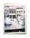 Muestra 2 de LA CASITA N 9. LA BÚSQUEDA DE ALBERT (Isabelle Arsenault) La Casita Roja 2021