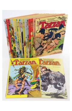 Cubierta de EL NUEVO TARZÁN 1 A 19. COMPLETA (Harold Foster) Toutain 1979