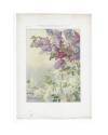 Cubierta de JOURNAL DE LA DECORATION AÑO XIX LÁM. 22. LILAS (G. Maschke) Ar. Guérinet Circa 1905. CROMOLITOGRAFÍA 63x46