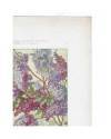 Muestra 3 de JOURNAL DE LA DECORATION AÑO XIX LÁM. 22. LILAS (G. Maschke) Ar. Guérinet Circa 1905. CROMOLITOGRAFÍA 63x46