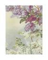 Muestra 4 de JOURNAL DE LA DECORATION AÑO XIX LÁM. 22. LILAS (G. Maschke) Ar. Guérinet Circa 1905. CROMOLITOGRAFÍA 63x46