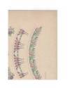 Muestra 3 de JOURNAL DE LA DECORATION AÑO XIX LÁM. 54. BORDURES POUR LA CÉRAMIQUE (L. Hellmuth) Circa 1905. CROMOLITOGRA
