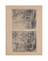 Muestra 7 de PEINTURE DECORATIVE AU XVIII SIECLE SERIE 3. Chinoiseries. COMPLETA 43 FOTOTIPIAS (Boucher) Circa 1915. FOT