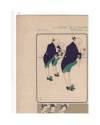 Muestra 2 de JOURNAL DE LA DECORATION AÑO XXI LÁM. 28. AFFICHES (Willy De Pogany) Ar. Guérinet Circa 1907. CROMOLITOGRAF