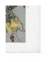 Muestra 1 de JOURNAL DE LA DECORATION AÑO XXI LÁM. 57. ÉTUDE DE ROSES (K. Ullrich) Ar. Guérinet Circa 1907. CROMOLITOGRA