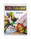 Cubierta de FLASH GORDON 33. BAJO LOS HIELOS (Don Moore/Austin Briggs) Buru Lan 1971