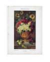 Cubierta de DEKORATIVE VORBILDER AÑO XXVI LÁM. 38. SONNENBLUMEN UND ROSEN (Arno Drescher) J. Hoffmann 1915. CROMOLITOGRA