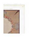 Muestra 3 de MODELLI D ARTE DECORATIVA AÑO VI LÁM. 52. Decorazione per Soffitto e Parete (Costantino Grondona) 1913. CRO