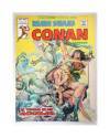 Cubierta de RELATOS SALVAJES VOL. 1 78. CONAN EL BÁRBARO. EL CAMINO DE LAS ÁGUILAS (Vvaa) Vértice 1980