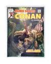 Cubierta de RELATOS SALVAJES VOL. 1 81. CONAN EL BÁRBARO. LA GEMA EN LA TORRE (Vvaa) Vértice 1980