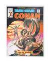 Cubierta de RELATOS SALVAJES VOL. 1 82. CONAN EL BÁRBARO. LUNA DE SANGRE (Vvaa) Vértice 1980