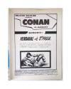 Muestra 1 de RELATOS SALVAJES VOL. 1 84. CONAN EL BÁRBARO. VENDAVAL DE STYGIA (Vvaa) Vértice 1980