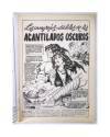 Muestra 1 de CONAN EL BARBARO VOL. 2 32. Vértice 1974