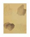 Muestra 4 de LECCIONES DE DIBUJO TOPOGRÁFICO CUAD 1 HOJA 2. ESTUDIOS PRELIMINARES (José M. De Riudavets) Olaso y Cía 187